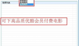 优酷视频解析,轻松获取热门视频内容