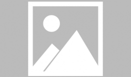 小猫的视频,小猫视频集锦