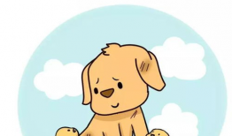 流浪狗漫画,街头生存与人性光辉